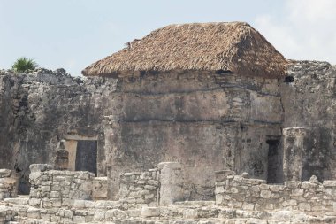 Eski bir Maya yapısının saman çatısına yakın bir şekilde Tulum arkeolojik bölgeye