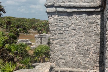 Tulum arkeolojik bölgesinin arka planında harabe olan antik Maya yapı duvarına seçici odak çekimi