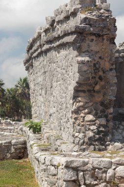 Güneşli bir günde eski bir Maya yapısının yıkılmış duvarının köşesine, Tulum arkeolojik bölgesine yakın.