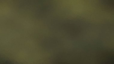 Etkisi soyut yaratıcılık renk arka plan bilgisayar ile oluşturulan. 