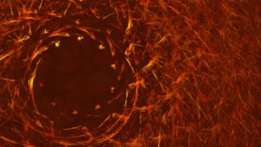 Oluşturulan bilgisayar boya etkisi ile yaratıcı fraktal fantezi arka plan. 