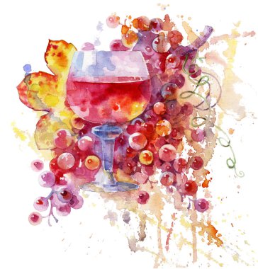 Bardakta kırmızı şarap. Beyaz arka planda şarap ve üzüm. Güzel el yapımı suluboya çizimi.