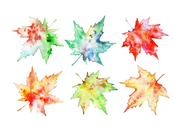 白い背景に孤立した秋の葉のセット カラフルなカエデの葉 水彩で描かれた葉 デザインと創造性のための葉のセット ストック画像