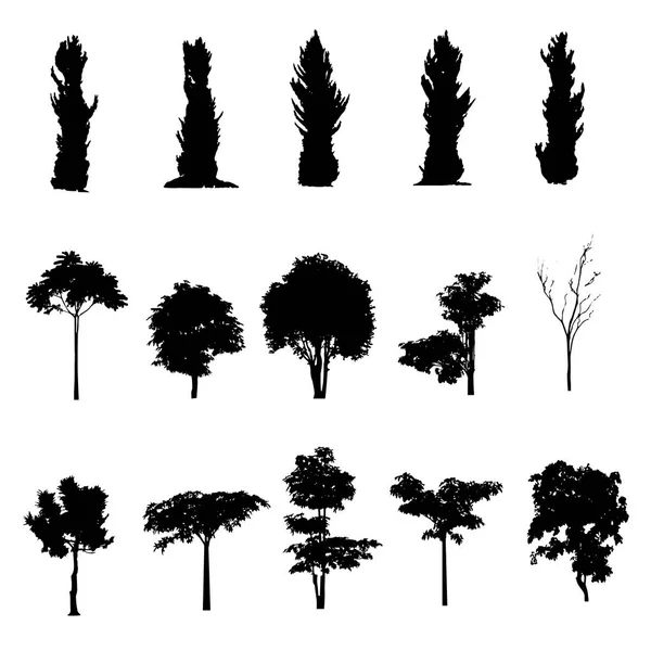 Silhouette Arbre Illustration Vectorielle Silhouette Arbre Sur Fond Blanc — Image vectorielle