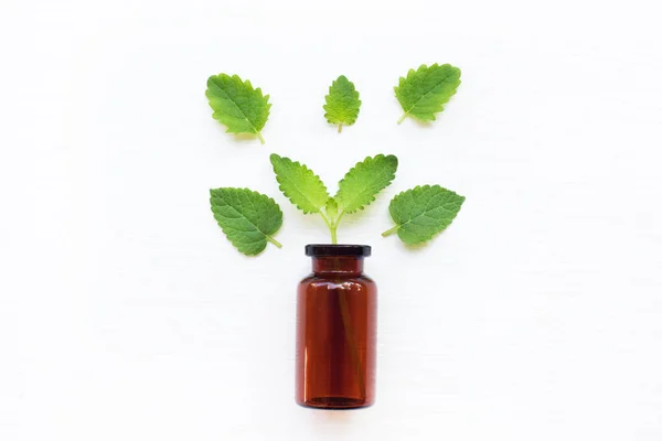 Een Fles Van Melissa Lemon Balm Etherische Olie Met Verse — Stockfoto