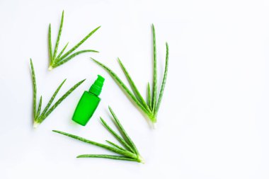 Spa ya da cilt bakımı kozmetik aloe vera jel ve Aloe Vera beyaz arka plan üzerinde izole için ürün şişe