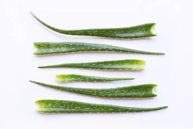 aloe vera beyaz