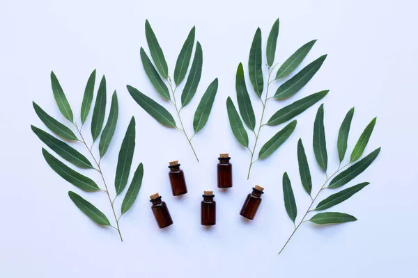 Eucalyptus Oil Bottle Leaves White Background — Stock Photo, Image