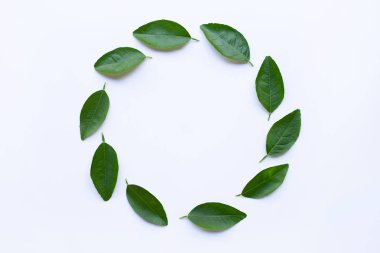 İzole üzerinde beyaz arka plan daire kare yeşil kireç yapılmış bırakır.