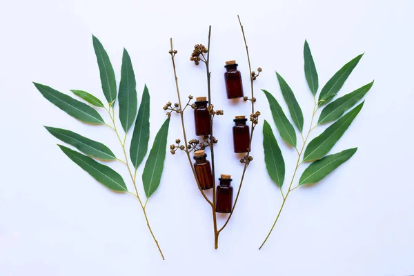 Eucalyptus Olie Fles Met Bladeren Witte Achtergrond — Stockfoto