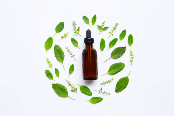 Holy Basil Essential Oil in a Glass Bottle with Fresh Holy Basil