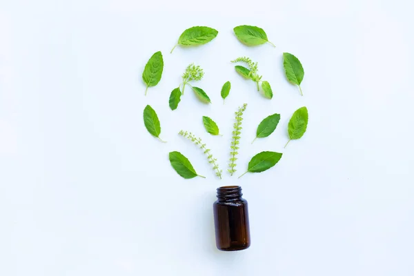 Medyczne Butelki Szklane Liści Zielony Święty Bazyli Kwiat Białym Tle — Zdjęcie stockowe