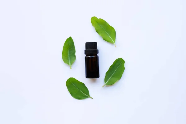 Aceites Esenciales Eucalipto Aromaterapia Botella Con Hojas Eucalipto Verde — Foto de Stock
