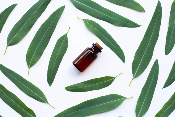 Botella Aceite Eucalipto Con Hojas Sobre Fondo Blanco — Foto de Stock