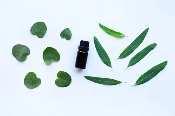 Aceite Esencial Eucalipto Aromaterapia Con Hojas Ecalipto Verde Sobre Blanco — Foto de Stock