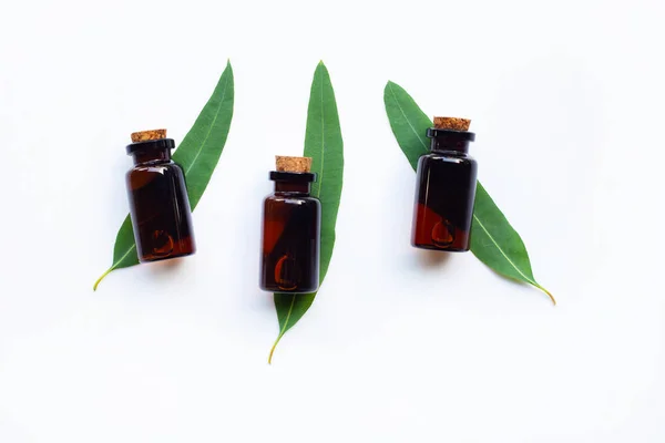 Eucalyptus Essential Oils Leaves White — Stock Photo, Image