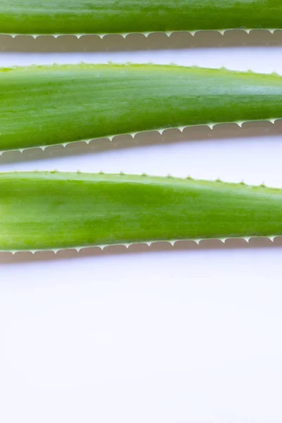 Aloe Vera Friss Levelek Fehér Háttér Előtt Másolja Hely — Stock Fotó