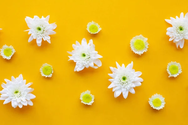 Composición Flores Crisantemos Sobre Fondo Papel Amarillo Vista Superior —  Fotos de Stock