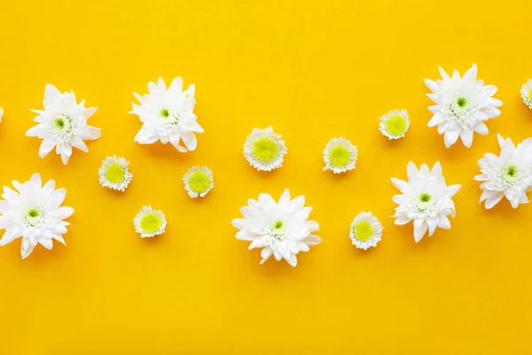 Composición Flores Blancas Amarillas Crisantemos Sobre Fondo Papel Amarillo —  Fotos de Stock