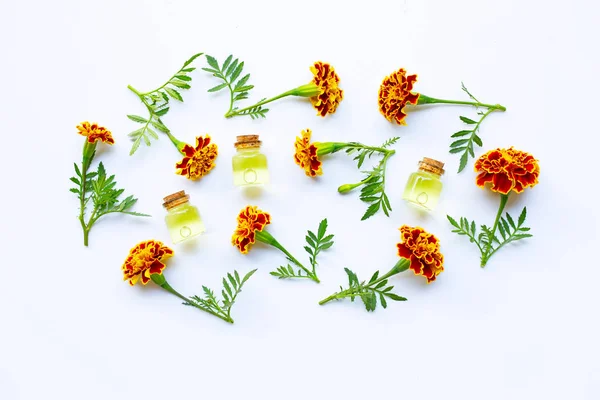 Essential Oils Marigold Flower White Background — Stock Photo, Image