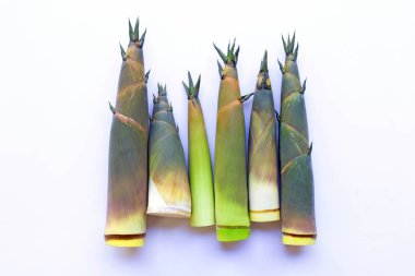 Beyaz arka planda bambu filizleri