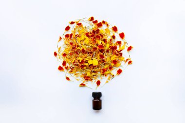 Kadife çiçeği çiçek beyaz arka plan üzerinde uçucu yağ