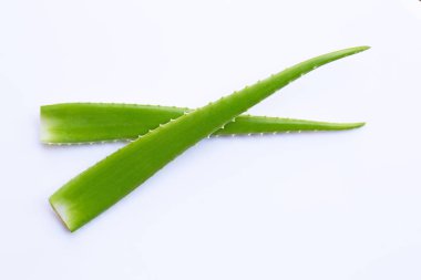 Beyaz arka plan üzerinde aloe vera taze yaprakları.