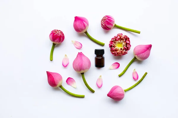 Óleo Essencial Lótus Com Flores Lótus Sobre Fundo Branco — Fotografia de Stock