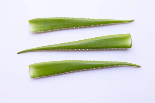 Hojas Frescas Aloe Vera Sobre Fondo Blanco — Foto de Stock