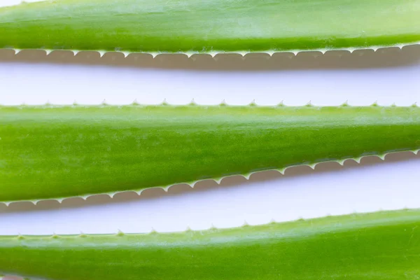 Aloe Vera Fresh Leaves White Background — Stock Photo, Image