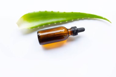 Uçucu yağ ile aloe vera yapraklarda beyaz 