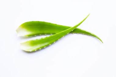 aloe vera beyaz