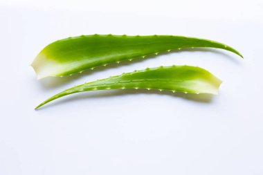 aloe vera beyaz