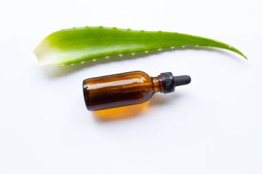 Uçucu yağ ile aloe vera yapraklarda beyaz 