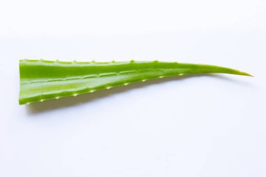 aloe vera beyaz
