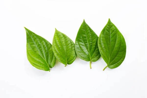 Зелене листя бетеля, свіжа паличка на білому — стокове фото