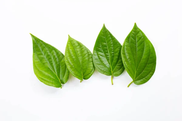 Feuilles de bétel vert, Betle de cornemuse fraîche sur blanc — Photo