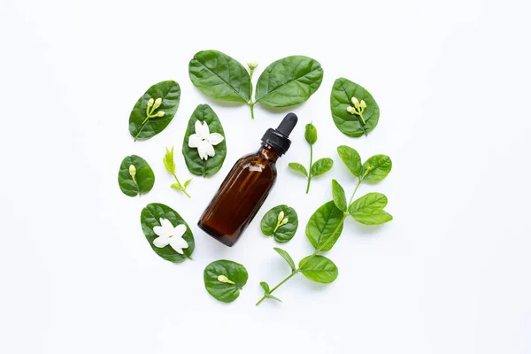 Botella de aceite esencial con flor de jazmín y hojas en blanco . —  Fotos de Stock