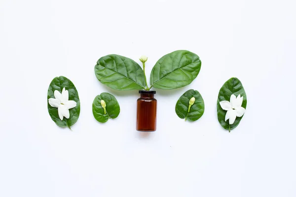 Flesje etherische olie met jasmijn bloemen en bladeren op wit. — Stockfoto
