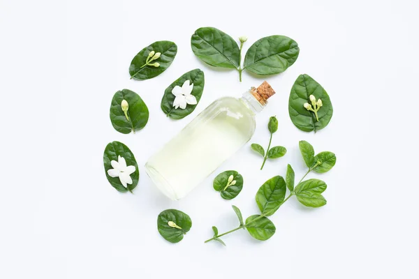 Botella de aceite esencial con flor de jazmín y hojas en blanco . — Foto de Stock
