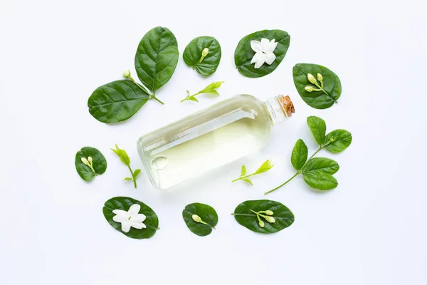 Botella de aceite esencial con flor de jazmín y hojas en blanco . — Foto de Stock