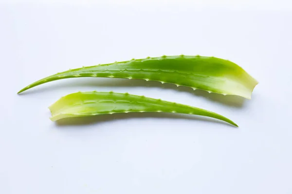 Aloe vera na biały — Zdjęcie stockowe