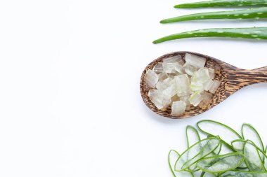 Aloe vera sağlık ve güzellik, wh için popüler bir tıbbi bitki olduğunu