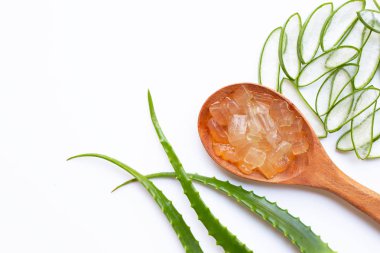 Aloe vera sağlık ve güzellik, wh için popüler bir tıbbi bitki olduğunu