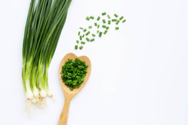 Beyaz üzerine izole edilmiş yeşil soğanlar