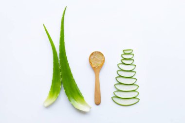 Aloe vera sağlık ve güzellik, wh için popüler bir tıbbi bitki olduğunu