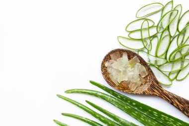 Aloe vera sağlık ve güzellik, wh için popüler bir tıbbi bitki olduğunu
