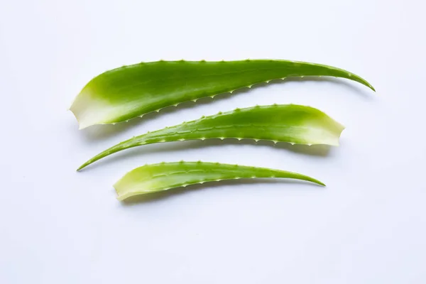 Aloe Vera Blätter auf weiß — Stockfoto