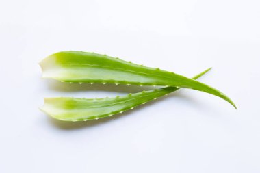 Aloe Vera sağlık ve güzellik için popüler bir şifalı bitki, Wi