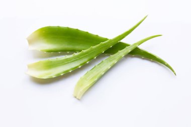 Aloe Vera sağlık ve güzellik için popüler bir şifalı bitki, o